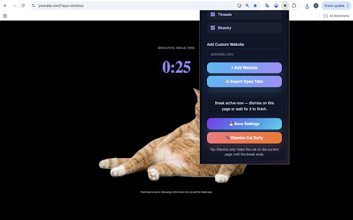 Smart Cat Guard :: Smart Cat Guard enforces healthy browsing breaks with adorable cat overlays.