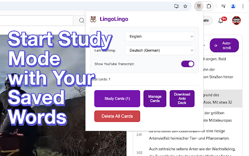 LingoLingo - AI Language Learning :: Learn languages while watching YouTube videos - watch, translate and study with AI.