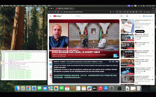Audio Transcription & Live Interpreter :: Real-time transcription, live translation, and speech-to-speech playback for browser audio. Includes Subtitle TTS for videos.