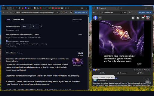 Luma :: Luma Social Feed, credibility badges and AI text, image and video checks. One-month free trial; Pro required after trial.