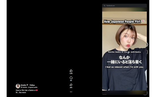 Simple Player - Universal Picture-in-Picture with Subtitle & Reel/Short :: Premium Picture-in-Picture player for web videos, Reels, and Shorts. Features custom subtitles and persistent audio visualizers.