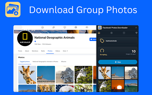 FB Photos Downloader :: One-click Facebook photo downloader for albums, profiles & groups. Fast, private, and easy to use. Save images instantly.