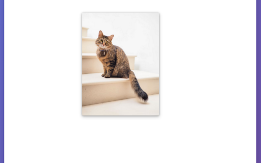 Image Zoom :: Zoom and pan images with mouse-centered controls. Hold Ctrl + scroll to zoom, click and drag to pan, double-click to reset.