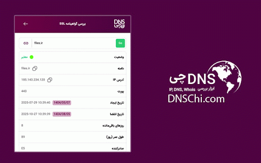 DNSChi :: Instant DNS intelligence