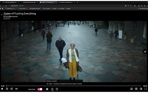 Learn Finnish - Dual Sub for YLE Areena :: Learn Finnish with dual language subtitles on YLE Areena. Support translation to English, Vietnamese, German and others.