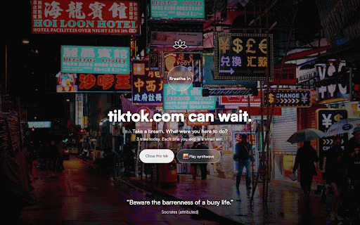 ZenBlock :: The peaceful website blocker. Block distracting sites, set focus locks and schedules, and take a breath instead.