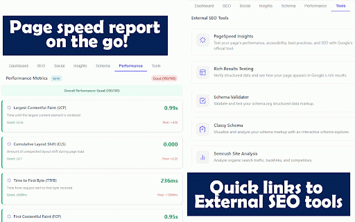 SEO Action Plan Extension :: Analyze SEO meta tags, social tags, schema markup & performance. Detect duplicates, missing tags & actionable SEO insights instantly