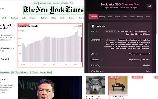 SEO Checker Tool by Backlinkz :: Comprehensive SEO Checker Tool that analyzes headings, links, meta tags, and local business info for any webpage.