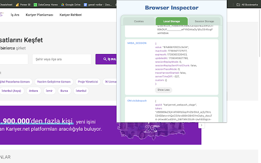 Browser Inspector :: View cookies, session storage, and local storage for the current website