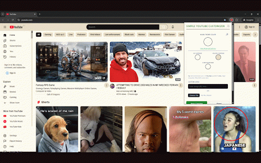 Simple Youtube Customizer :: Customize YouTube colors and logo